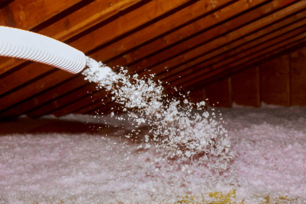 Best Professional Insulation Contractor  in Charlotte, NC