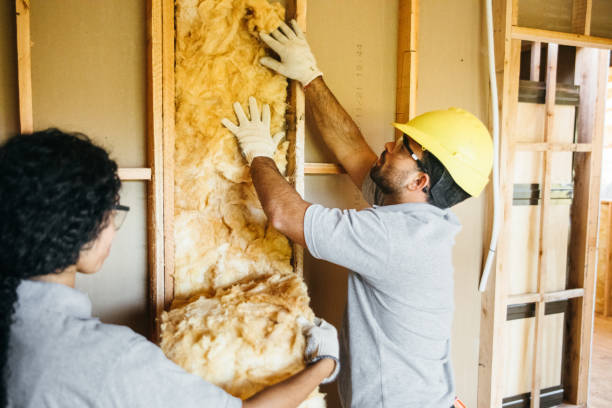 Best Wall Insulation Contractor  in Charlotte, NC