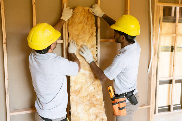 Best Insulation Contractors for Homes  in Charlotte, NC